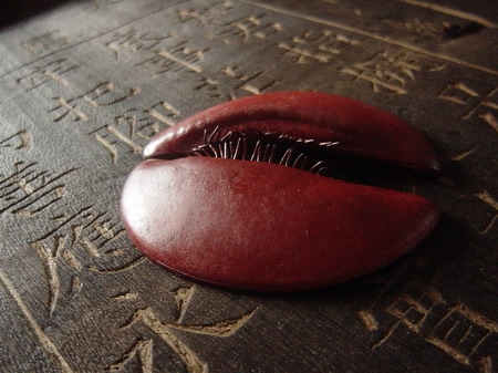 『』房四寶｜張晴文｜國藝會補助成果檔案庫