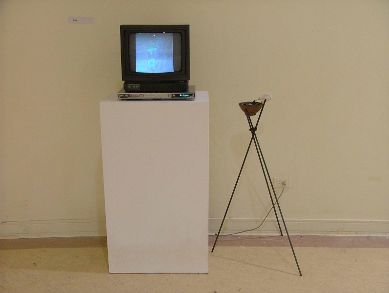 身體記憶－2008莊榮哲創作個展｜莊榮哲｜國藝會補助成果檔案庫