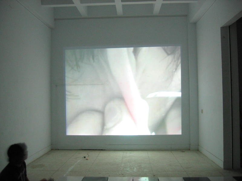 身體記憶－2008莊榮哲創作個展｜莊榮哲｜國藝會補助成果檔案庫