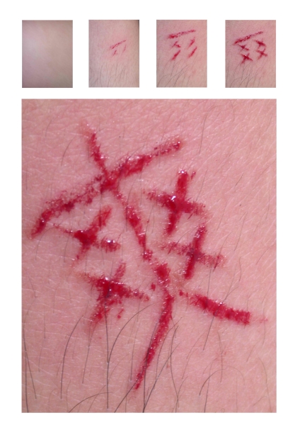 身體記憶－2008莊榮哲創作個展｜莊榮哲｜國藝會補助成果檔案庫