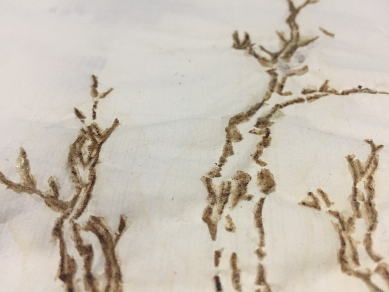 紋人畫傳創作計劃｜莊榮哲｜國藝會補助成果檔案庫