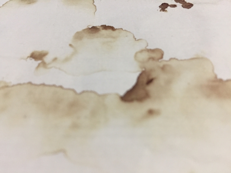 紋人畫傳創作計劃｜莊榮哲｜國藝會補助成果檔案庫