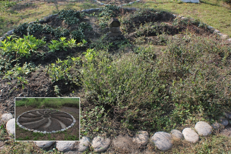 蓋亞計畫｜呂沐芢｜國藝會補助成果檔案庫