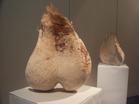 交織、流滲的場域--一個藝術工作者和一處環境發生關係的過程與痕跡｜陳淑燕｜國藝會補助成果檔案庫