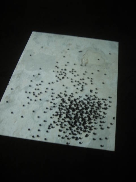 透‧極界：山谷河流 II｜陸慧綿｜國藝會補助成果檔案庫