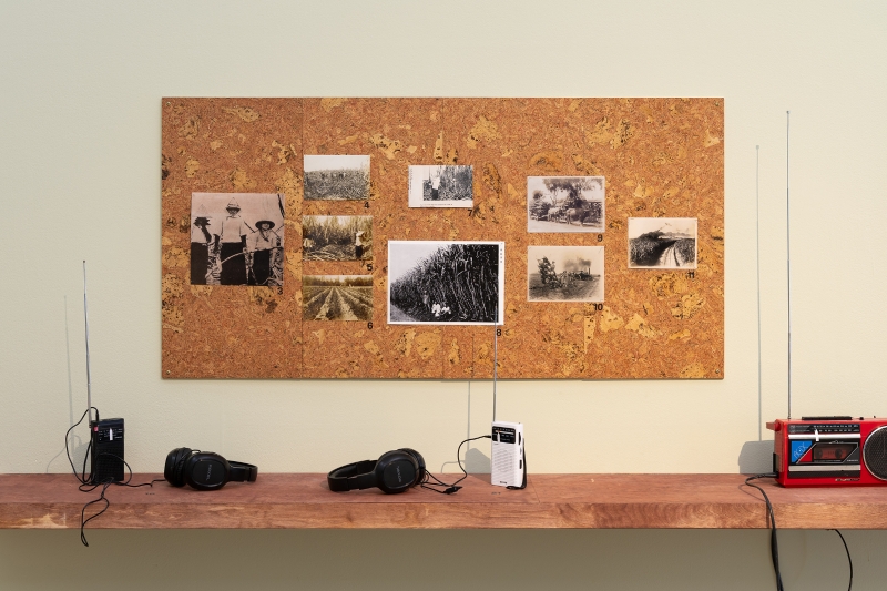 英國諾丁漢當代藝術館：＜您的耳朵稍後會懂得聆聽＞群展｜王虹凱｜國藝會補助成果檔案庫