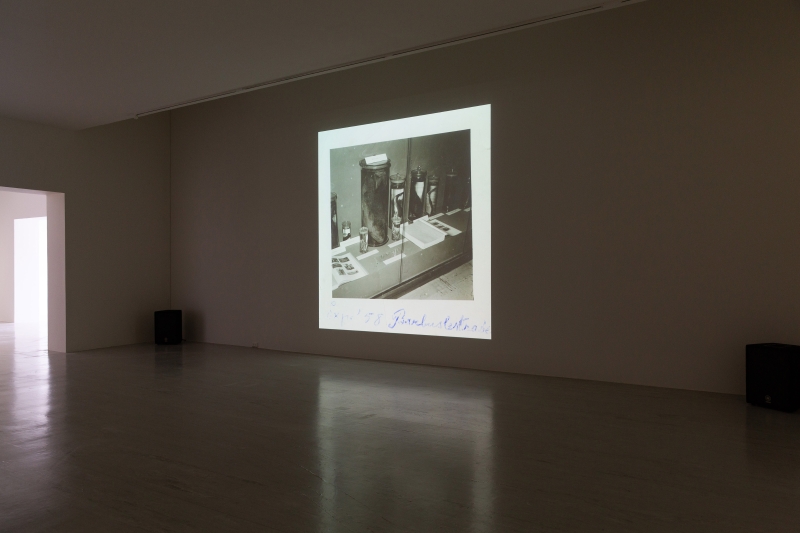 A Herald （紋圖官）｜饒加恩｜國藝會補助成果檔案庫