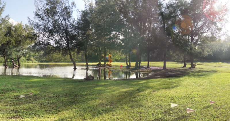 編碼者－2016黃建樺個展｜黃建樺｜國藝會補助成果檔案庫