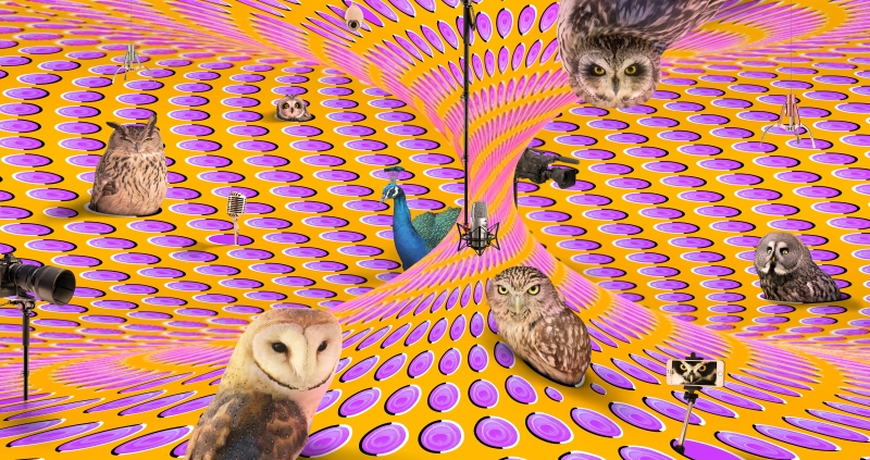 編碼者－2016黃建樺個展｜黃建樺｜國藝會補助成果檔案庫