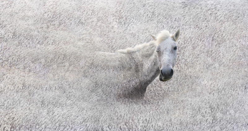 編碼者－2016黃建樺個展｜黃建樺｜國藝會補助成果檔案庫