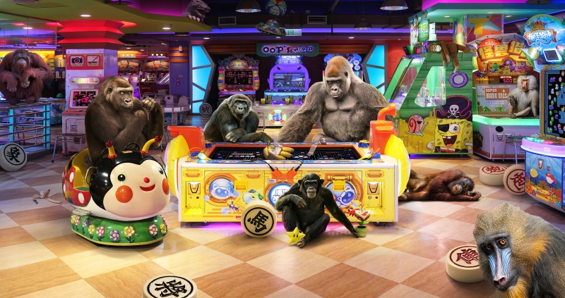 先知綠洲 - 2020黃建樺個展｜黃建樺｜國藝會補助成果檔案庫