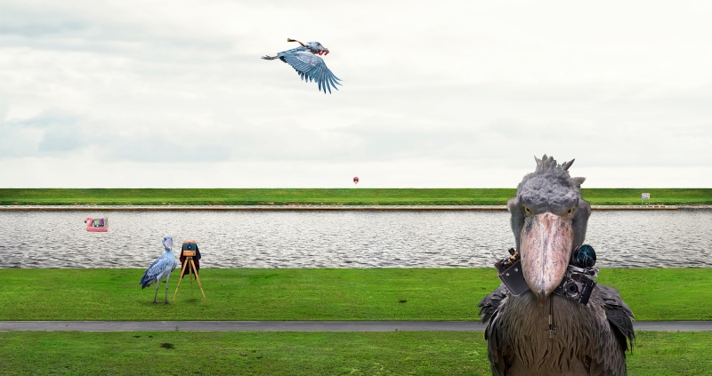 先知綠洲 - 2020黃建樺個展｜黃建樺｜國藝會補助成果檔案庫