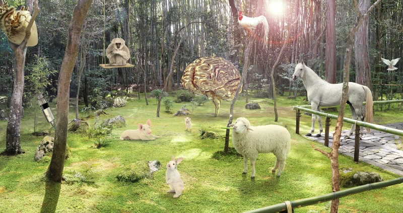 先知綠洲 - 2020黃建樺個展｜黃建樺｜國藝會補助成果檔案庫