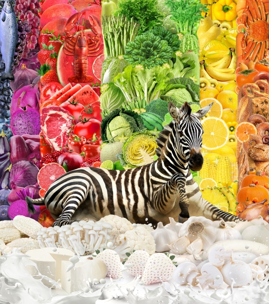 先知綠洲 - 2020黃建樺個展｜黃建樺｜國藝會補助成果檔案庫