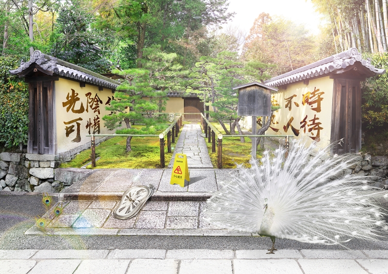 先知綠洲 - 2020黃建樺個展｜黃建樺｜國藝會補助成果檔案庫