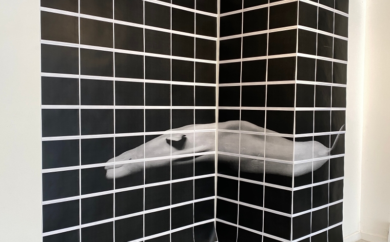 《STILL HERE》徐思穎紐約駐村個展計畫｜徐思穎｜國藝會補助成果檔案庫