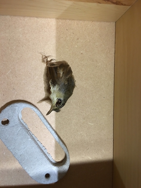 「大勇街25巷，末章。」｜賈茜茹｜國藝會補助成果檔案庫