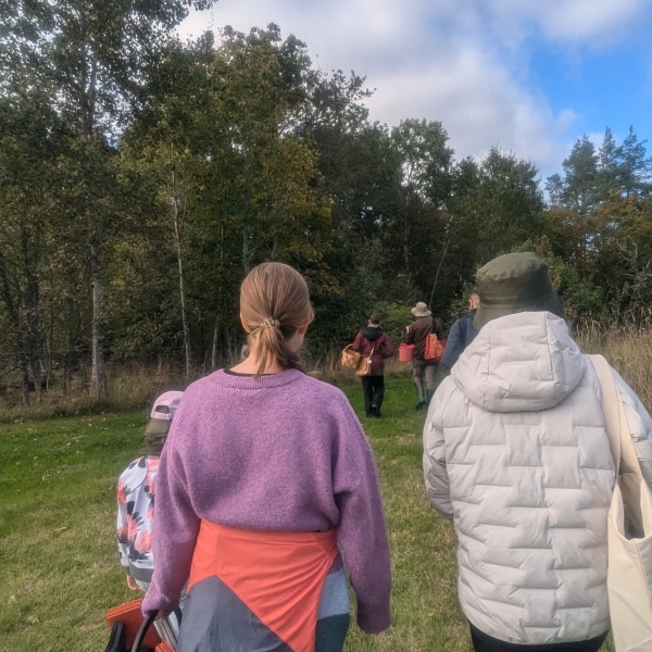 芬蘭薩里駐地計畫計畫｜印卡｜國藝會補助成果檔案庫