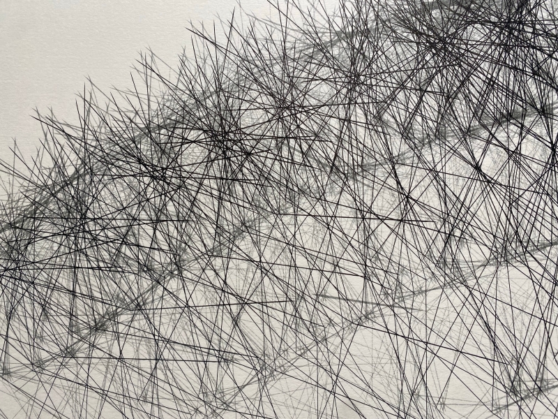 黃致傑「《Biomimicry Aesthetics: Robotic Calligraphy of "Sensitive Floral”》機器人書寫裝置獲頒日本 ADAA 亞洲數位藝術大賞獎 (Asia Digital Art Award FUKUOKA) 優秀獎暨前往福岡市美術館展覽發表計畫」:展出作品現場拍攝之圖形細節