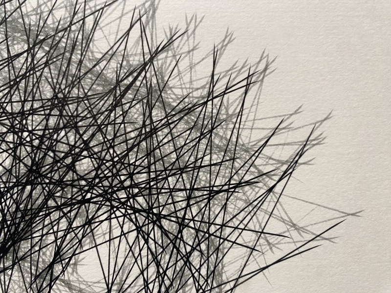 黃致傑「《Biomimicry Aesthetics: Robotic Calligraphy of "Sensitive Floral”》機器人書寫裝置獲頒日本 ADAA 亞洲數位藝術大賞獎 (Asia Digital Art Award FUKUOKA) 優秀獎暨前往福岡市美術館展覽發表計畫」:展出作品現場拍攝之圖形細節